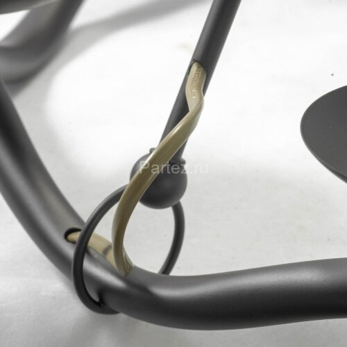 Потолочная люстра Lussole LGO LSP-0212