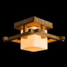 Потолочный светильник Arte Lamp A8252PL-1BR