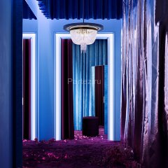 Потолочная люстра Freya FR1008CL-06BS