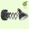 Бра Lussole Loft GRLSP-8049
