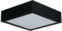 Потолочный светильник Kanlux 29051