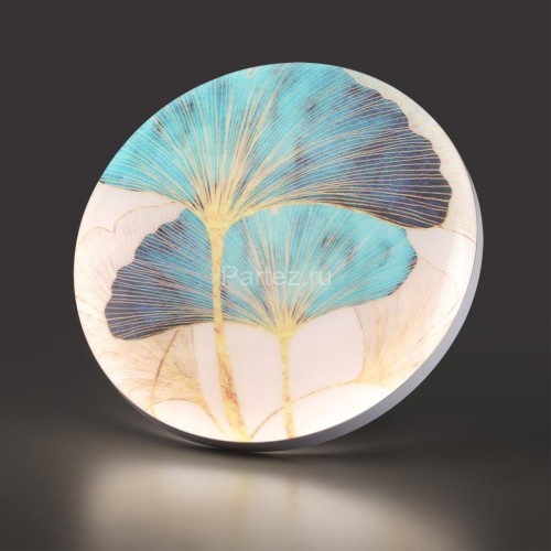 Настенно-потолочный светильник Sonex 7747/DL