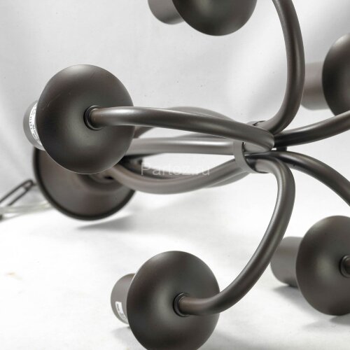 Подвесная люстра Lussole LGO LSP-9913