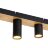 Потолочный светильник F-Promo 4431-6C