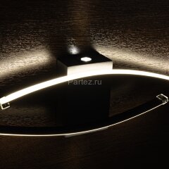 Настенный светильник Arte Lamp A2216AP-1BK