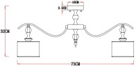 Потолочная люстра Arte Lamp A4038PL-8CC