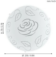 Настенно-потолочный светильник Eglo 89238