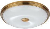 Настенно-потолочный светильник Odeon Light 4956/4