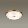 Настенно-потолочный светильник Odeon Light 4956/4