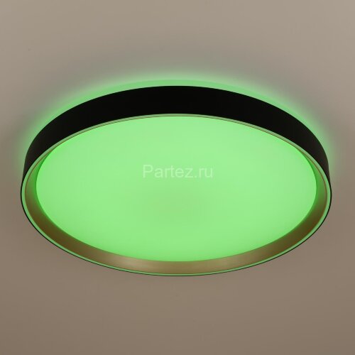 Потолочный светильник Citilux CL751451G