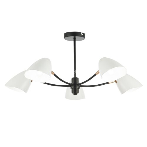 Потолочная люстра Evoluce SLE103602-05