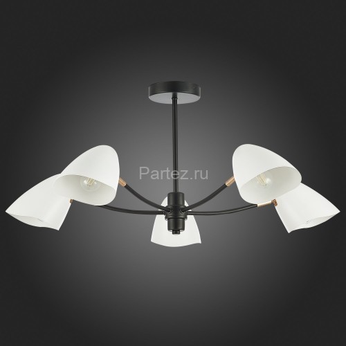 Потолочная люстра Evoluce SLE103602-05