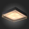 Потолочный светильник ST Luce SL1127.422.05