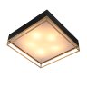 Потолочный светильник ST Luce SL1127.422.05