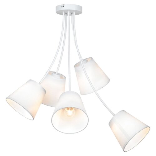 Потолочная люстра Lussole LGO LSP-8267