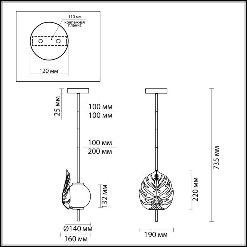 Потолочная люстра Odeon Light 4865/1A