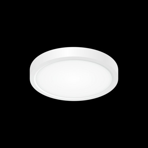Потолочный светильник Citilux CL738120N