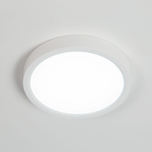 Потолочный светильник Citilux CL738120N