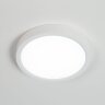Потолочный светильник Citilux CL738120N