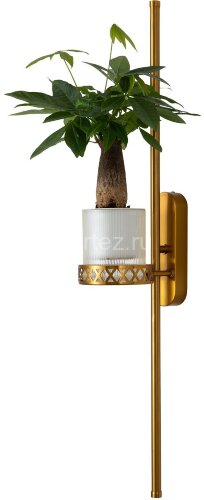 Бра Favourite 4050-2W