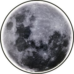 Настенно-потолочный светильник Escada 605/S LED Moon
