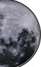 Настенно-потолочный светильник Escada 605/S LED Moon