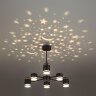 Потолочная люстра Lumion 8234/6C