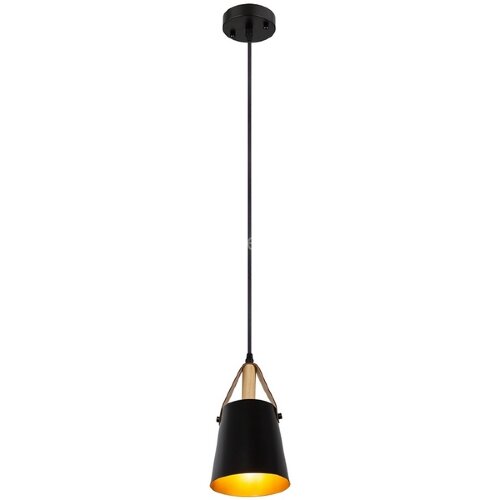 Подвесной светильник Arte Lamp A7032SP-1BK