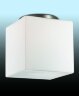 Потолочный светильник Odeon Light 2407/1C