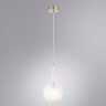 Подвесной светильник Arte Lamp A2720SP-1SG