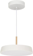 Подвесной светильник Arlight 033919(1)