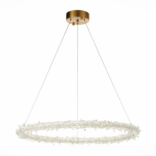 Подвесная люстра ST Luce SL6105.213.01