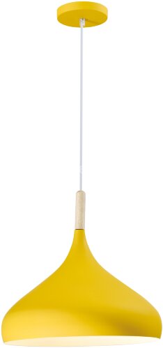 Подвесной светильник Moderli V1293-1P