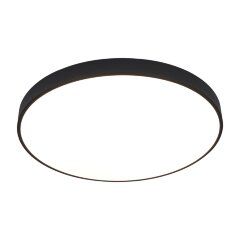 Потолочный светильник Arte Lamp A2673PL-1BK