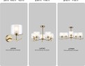 Потолочная люстра Ambrella LH57008