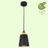 Подвесной светильник Lussole Loft GRLSP-9861