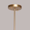 Потолочная люстра MW-Light 451012503