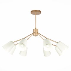 Потолочная люстра Evoluce SLE155902-08