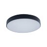 Потолочный светильник Loft It 10002/24 Black