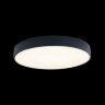 Потолочный светильник Loft It 10002/24 Black