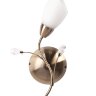 Бра MW-Light 356023001