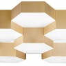 Потолочный светильник Lightstar 750161