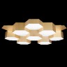 Потолочный светильник Lightstar 750161