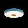Потолочный светильник Loft It 10003/24 Blue