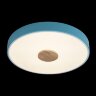 Потолочный светильник Loft It 10003/24 Blue