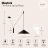 Подвесной светильник Maytoni P080PL-01B