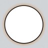Потолочный светильник Citilux CL748601