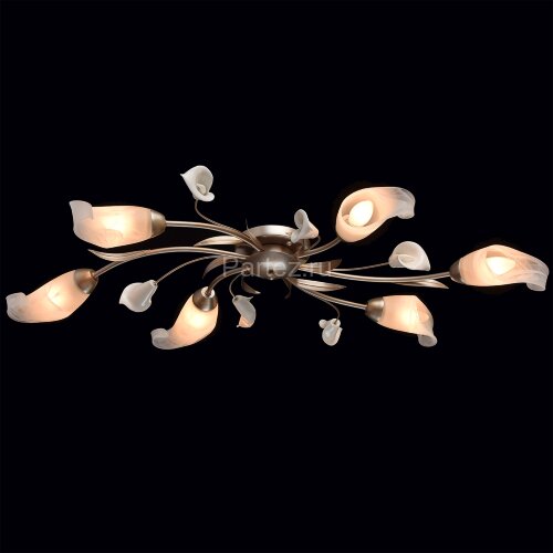 Потолочная люстра MW-Light 242016306