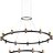 Подвесная люстра Odeon Light 5009/98L