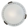 Настенно-потолочный светильник Sonex 161/K
